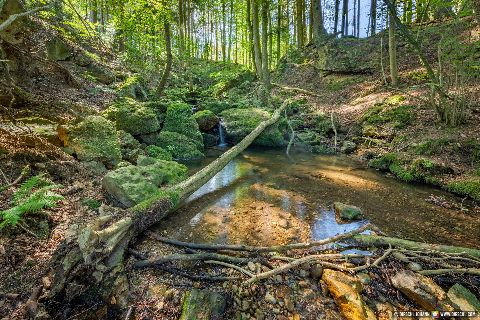 Gemeinde Stubenberg Landkreis Rottal-Inn Amering Ameringer Graben (Dirschl Johann) Deutschland PAN